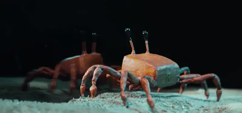 2024 Academy Awards Short Film Candidates: - Crab - Director Pyotr Chmielewski.